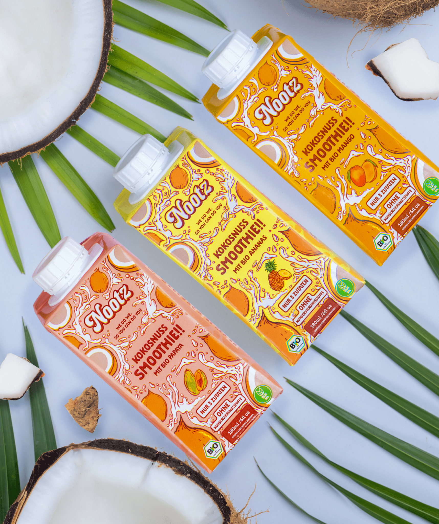 6pack Probierpaket - zwei pro Sorte - Nootz Bio Kokosnuss Smoothie