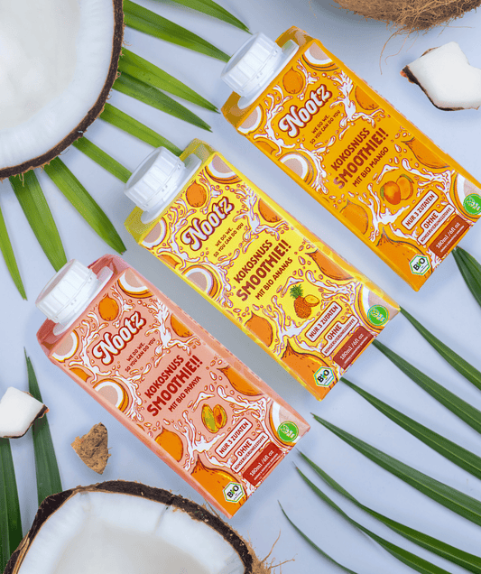 6pack Probierpaket - zwei pro Sorte - Nootz Bio Kokosnuss Smoothie